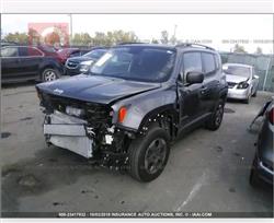 جيب رينيجيد